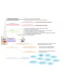 Mapa mental La Constitución de La República Del Ecuador
