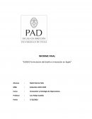 Formulación del diseño e innovación en Apple