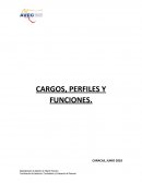 Cargos, perfiles y funciones