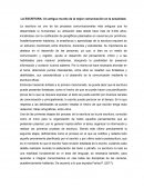 LA ESCRITURA: Un antiguo mundo de la mejor comunicación en la actualidad
