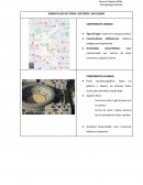 Barrio Plaza De Toros- Doctores- San Lázaro