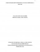 Curso de mejoramiento profesional en inteligencia empresarial