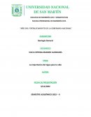 La importancia del Agua para la vida