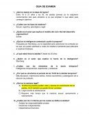 Adultez psicología. Inteligencia componencial, experiencial y contextual