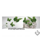 Mindfullness para el estrés en el trabajo