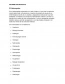 Informe naturopatico