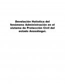 Develación Holística del fenómeno Administración en el sistema de Protección Civil del estado Anzoátegui