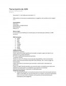 Transcripción de ADN