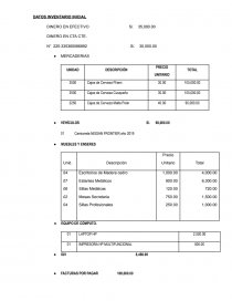 Datos inventario inicial. Página 1