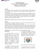 Sensibilidad Somatica