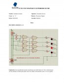 Digital Simulaciones