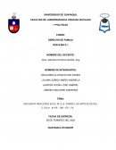 La adopcion. Encuesta realizada en el M.I.E.S. sobre los artículos del C.O.N.A.