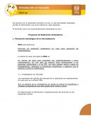 Ejemplo de introducción al mercado