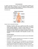 Inmunosupresores y antineoplásicos