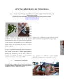 Laboratorio Fotosintesis