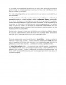 Arqueología bíblica