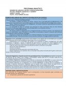 Programa analitico 5to