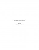 Desarrollo de la infancia y adolescencia