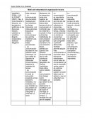 Matriz de interpretación organización lectora