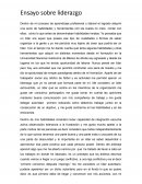 Ensayo sobre liderazgo