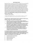 Modelo estrategico Mediterraneo Exprés