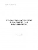 Comparación entre B. Malinowski y A.R Radcliffe-Brown