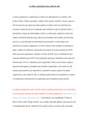 La dieta vegetariana como estilo de vida