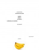 Elementos quimicos del platano