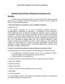 Caso practico sistema de formacion en la Empresa