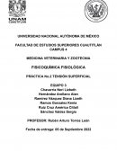 Práctica No.2 tensión superficial