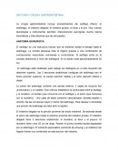 Procedimiento de cirugia gastrointestinal