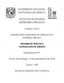 Informe de práctica “acetilacion de aminas”