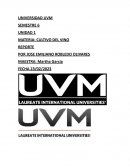 Podcast de los 5 mitos del vino