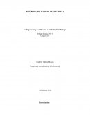 La Ergonomía y su Influencia en la Calidad del Trabajo Trabajo Práctico N.º 1