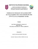Análisis de la interacción de la proteína NSP del Virus Huasteco de la vena amarilla del chile (PHYVV) en su hospedador tomate