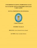 Informe de prácticas pregrado ii
