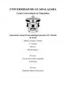 Laboratorio virtual de microbiología (practica #2): Tinción de Gram