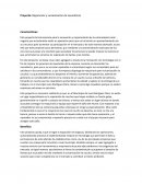 Proyecto: Reparación y vulcanización de neumáticos