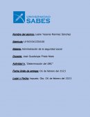 Actividad 4. “Determinación del SBC”