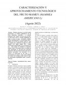 Caracterización y aprovechamiento tecnológico del fruto mamey (mammea americano l)