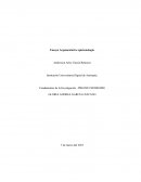 Ensayo Argumentativo epistemología