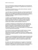 Reflexión Individual MRP