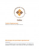 Metodología del aprendizaje organizacional