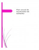 Plan anual de igualdad