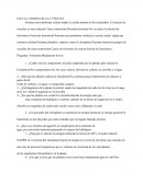 Cuadro comparativo celula animal y vegetal