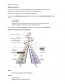 Biología reproductiva