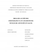 Áreas de acción del fisioterapeuta en los distintos niveles de atención en salud