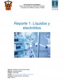 Reporte práctica liquidos y electrolitos