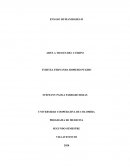 Arte a través del cuerpo