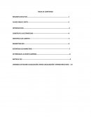 Proyecto Creacion de Empresa